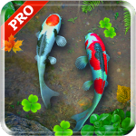 Koi Pond Pro Live Wallpaper