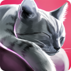 CatHotel – Hotel for cute cats