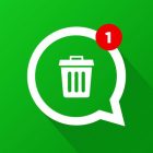 WhatsDelete: View Deleted Messages & Status saver