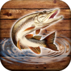 Fish Rain: Sport Fishing Games. Fishing Simulator.