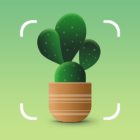 NatureID: Plant Identification