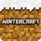 Winter Craft